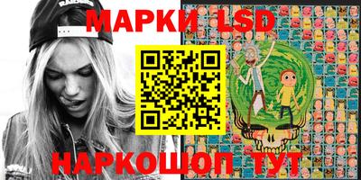 стаф Берёзовский