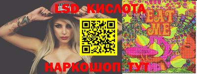 стаф Берёзовский