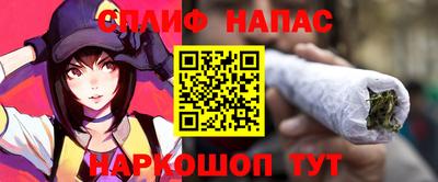 стаф Берёзовский