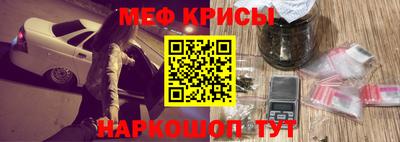 стаф Берёзовский