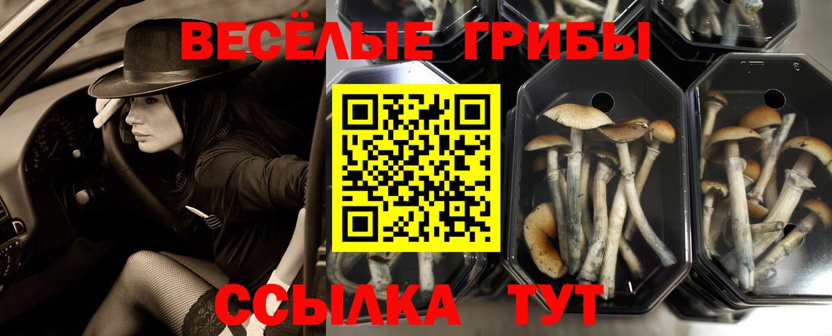 Галлюциногенные грибы MAGIC MUSHROOMS  Вход с VPN  Борисоглебск 